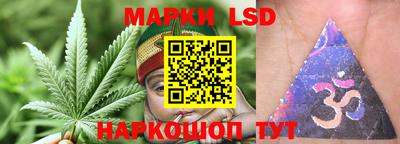PSILOCYBIN Туймазы