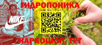 молекула духа Усть-Джегута