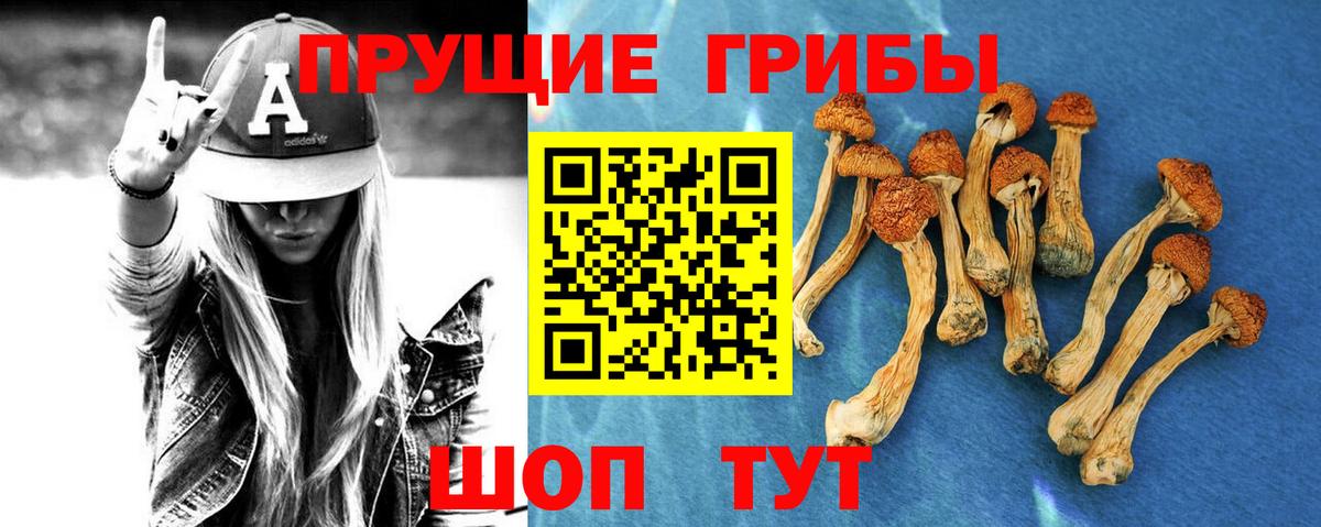 Псилоцибиновые грибы мухоморы Новошахтинск